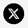 Tweet Icon